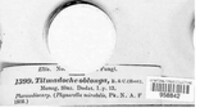 Image Associated With the Occurence